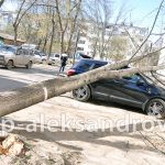 Спил деревьев Александров